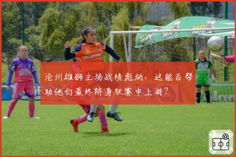 沧州雄狮主场战绩彪炳,这能否帮助他们最终跻身联赛中上游?