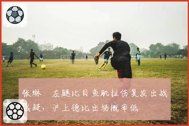 张琳芃左腿比目鱼肌拉伤复发出战成疑，沪上德比出场概率低