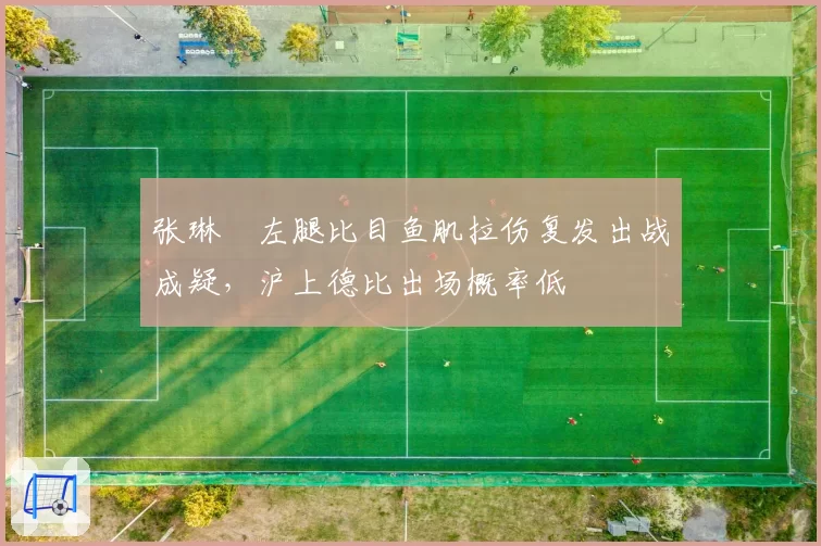 张琳芃左腿比目鱼肌拉伤复发出战成疑，沪上德比出场概率低